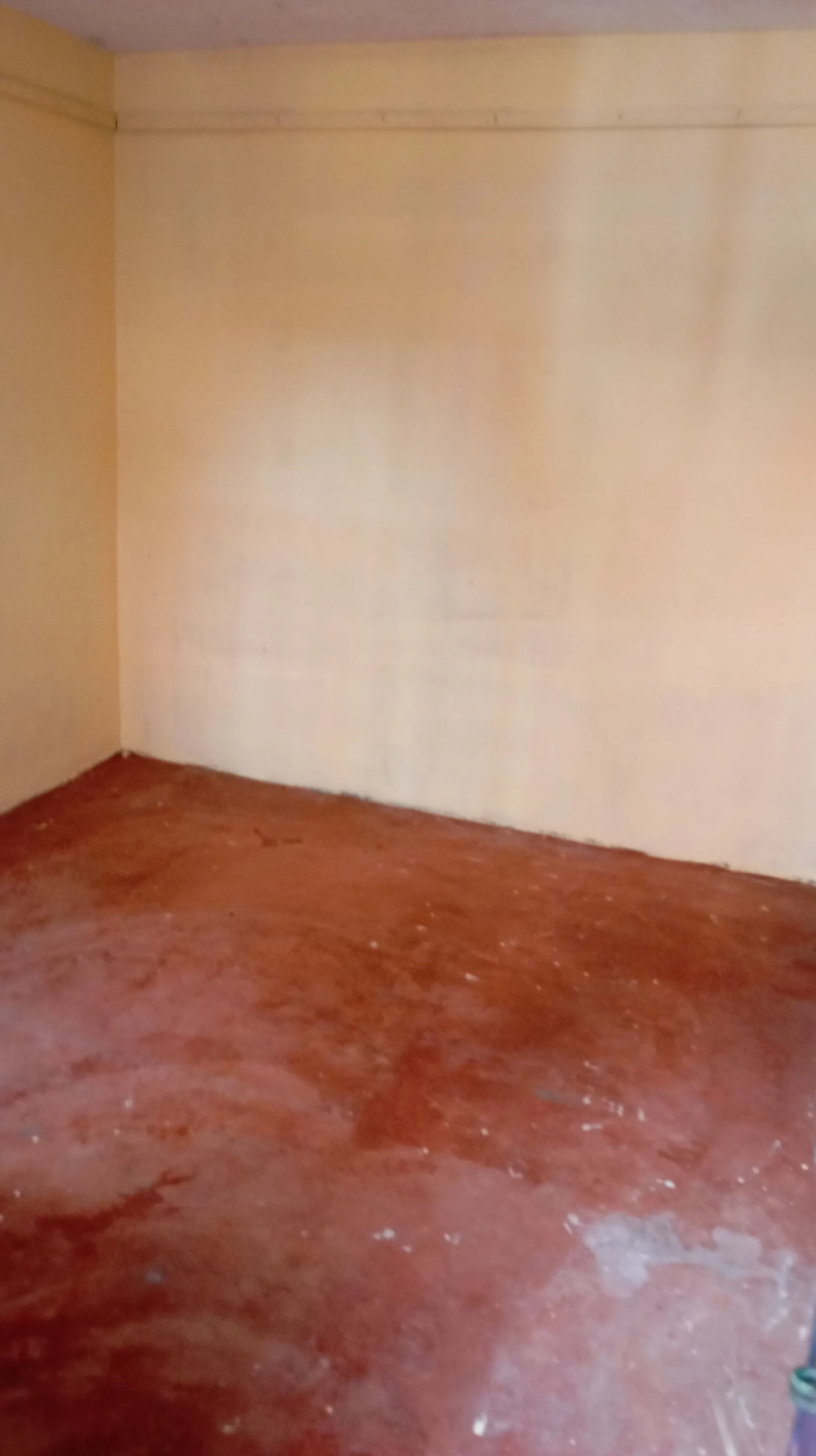 SINGLES - single room